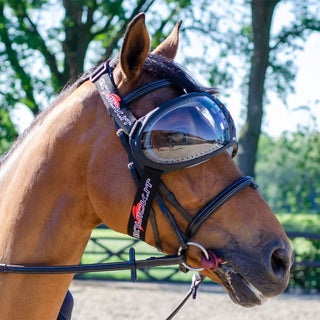 eQuick eVysor Equine Goggles - Transparent