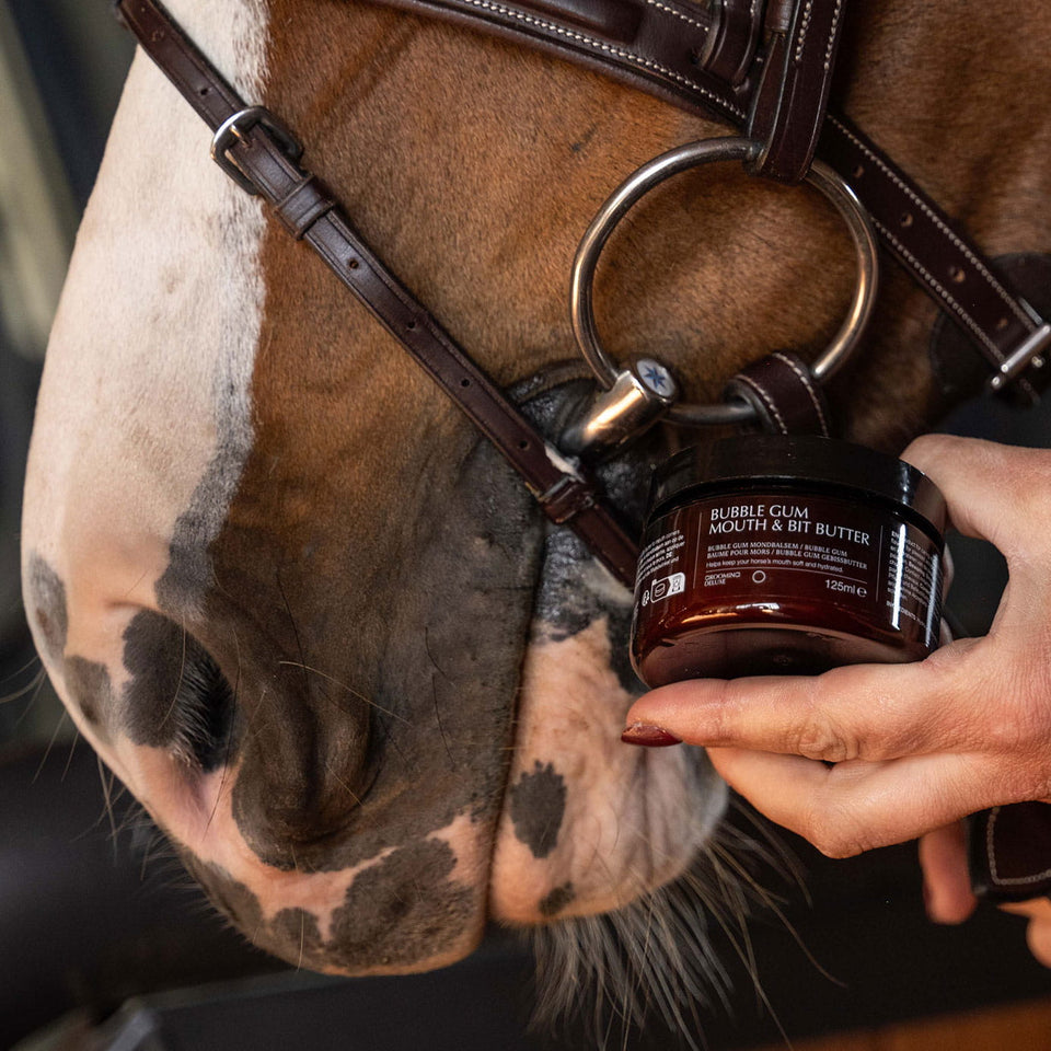 Grooming Deluxe Mouth and Bit Butter - Bubble Gum