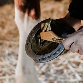 Ultimate HoofPick Plus with Replaceable Brush – Equinimity Ultimate HoofPick Plus with Replaceable Brush – Equinimity