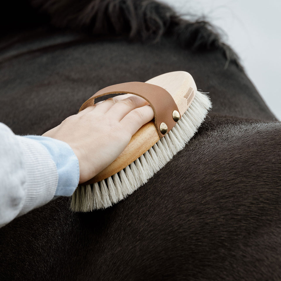 Grooming Deluxe Overall Brush Body Shine