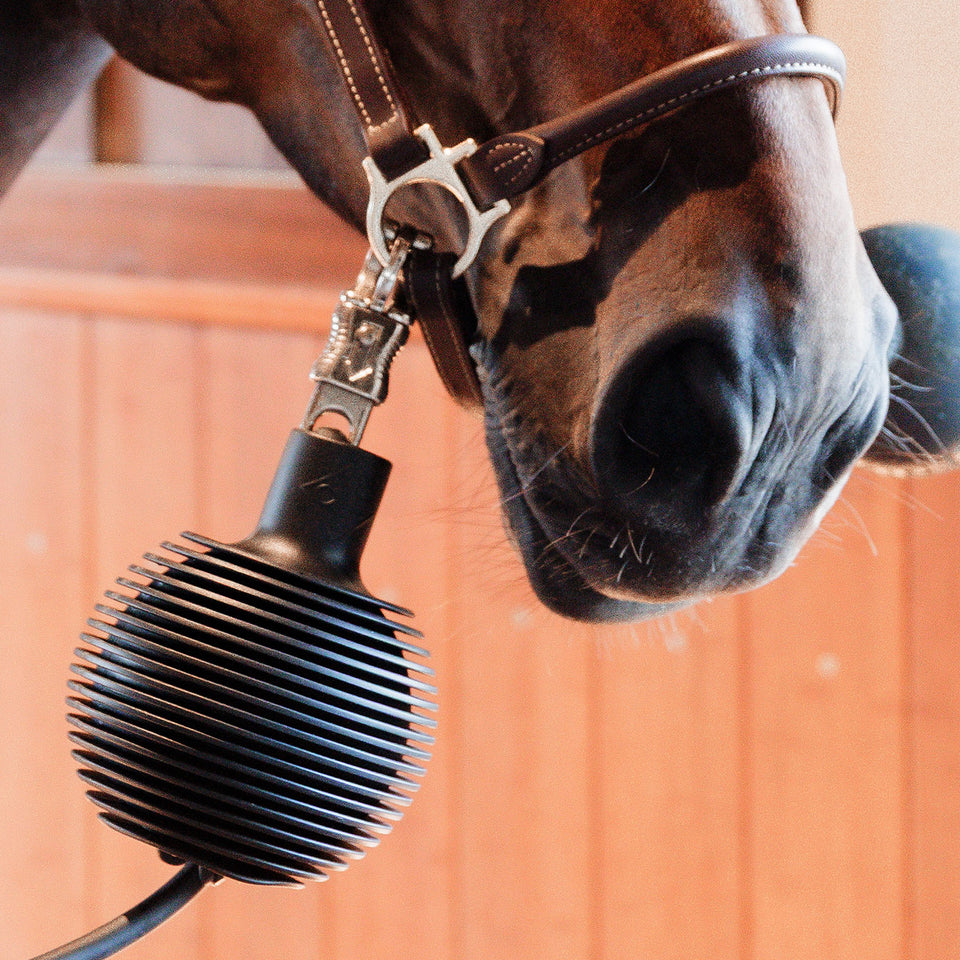 Grooming Deluxe Rubber Ball Pro Lead and Wall Protector - Black