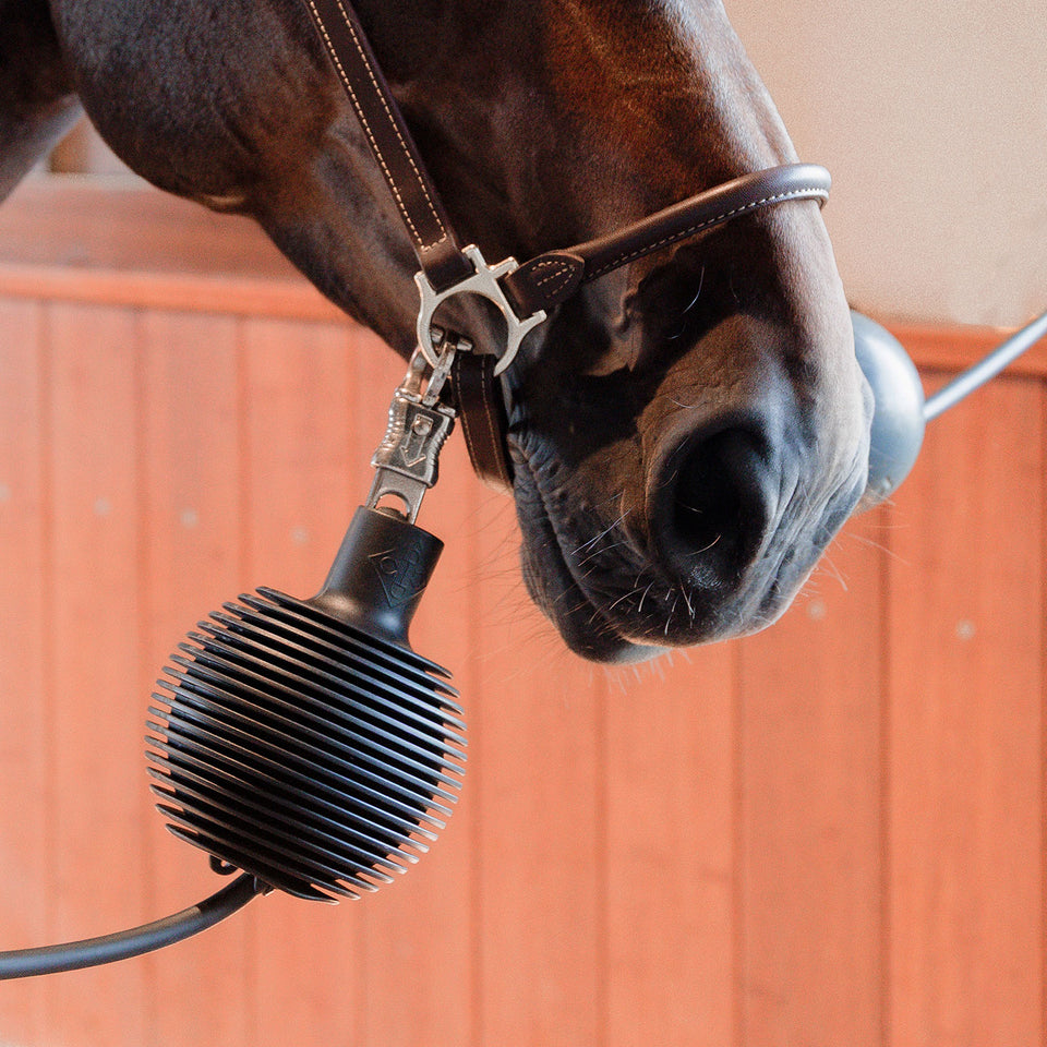 Grooming Deluxe Rubber Ball Pro Lead and Wall Protector - Black