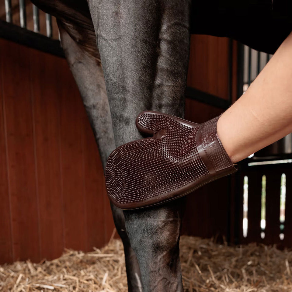 Grooming Deluxe Rubber Grooming Glove - Brown