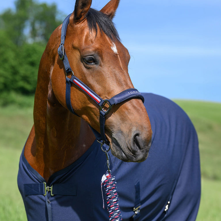 Tommy Hilfiger Yale Headcollar and Lead Rope Set - Desert Sky