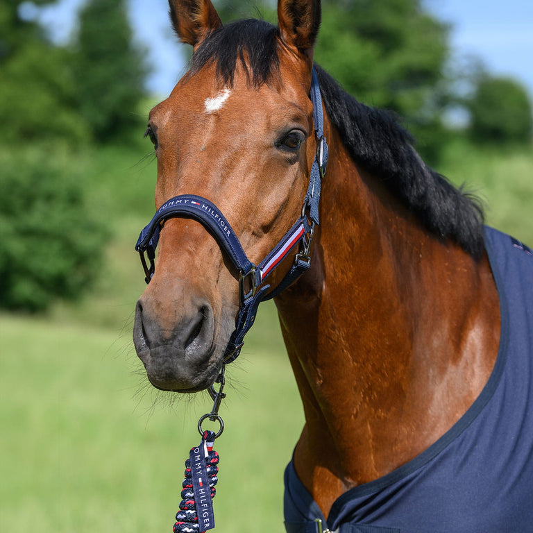 Tommy Hilfiger Yale Headcollar and Lead Rope Set - Desert Sky