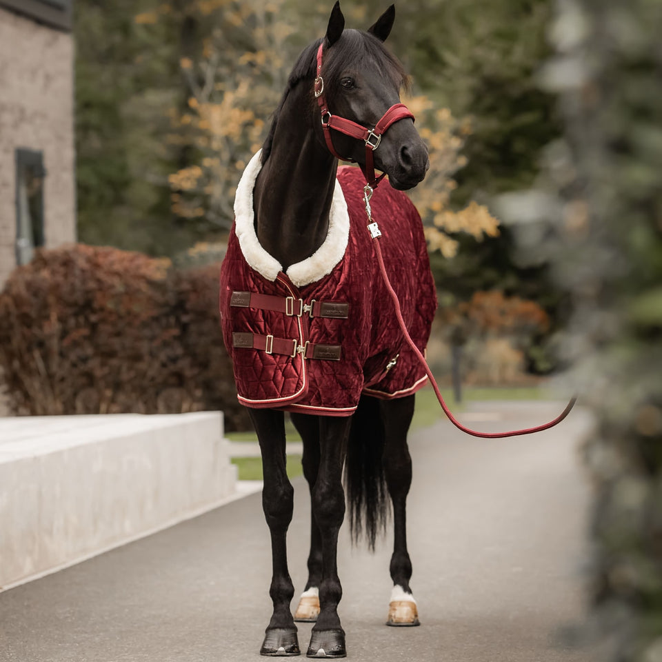 Kentucky Horsewear Velvet Show Rug Bordeaux Equiport Equestrian Kentucky Horsewear Velvet Show Rug Bordeaux Equiport Equestrian