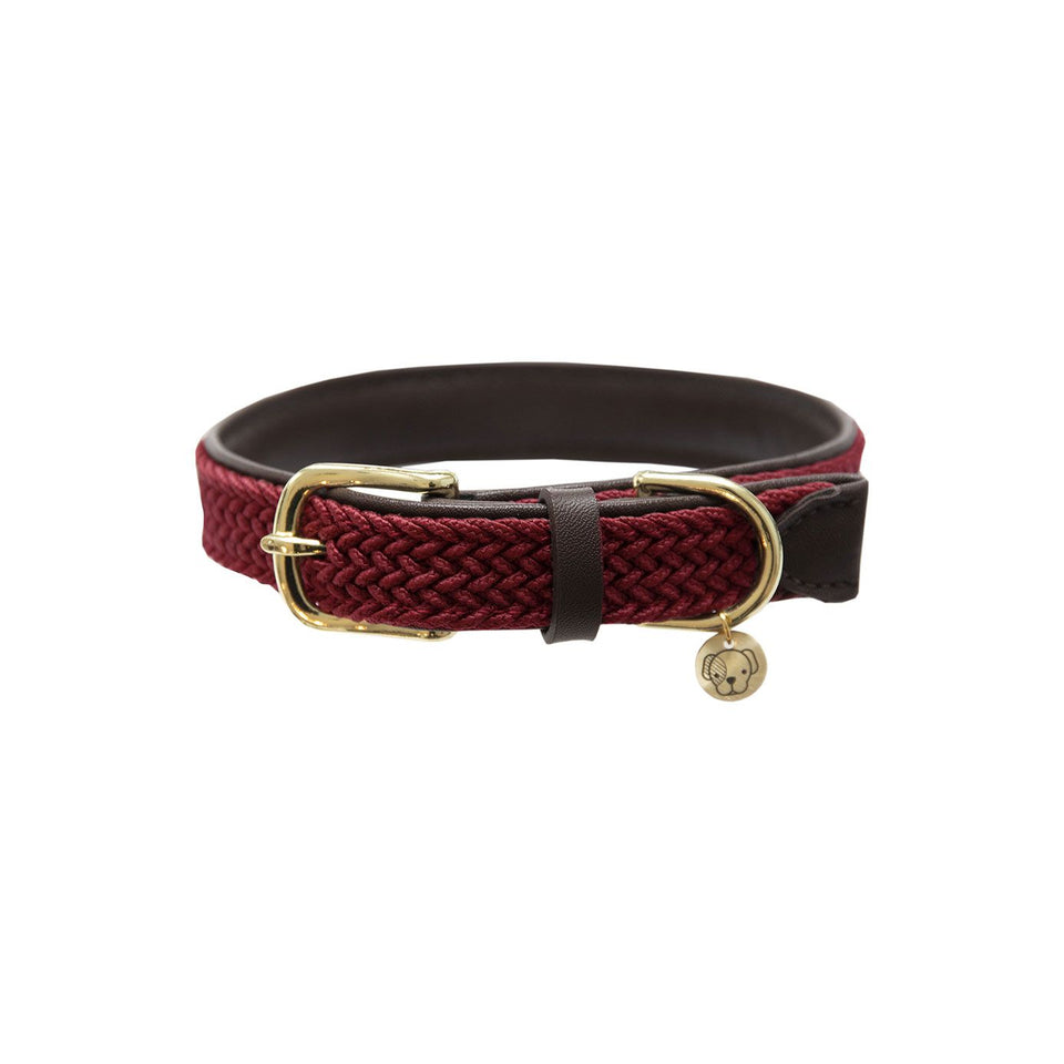 Kentucky Dogwear Plaited Nylon Dog Collar - Bordeaux