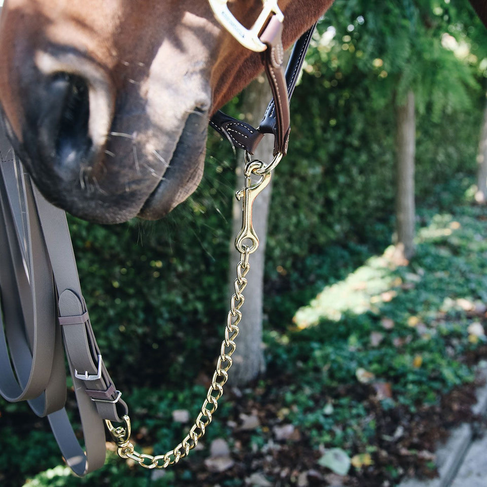 Kentucky Horsewear Stallion Chain