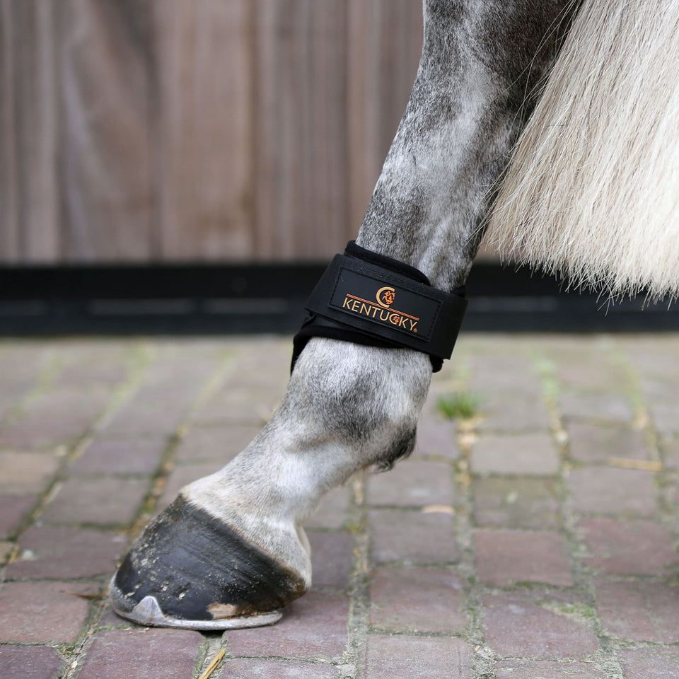 Kentucky Horsewear Young Horse Fetlock Boots - Black