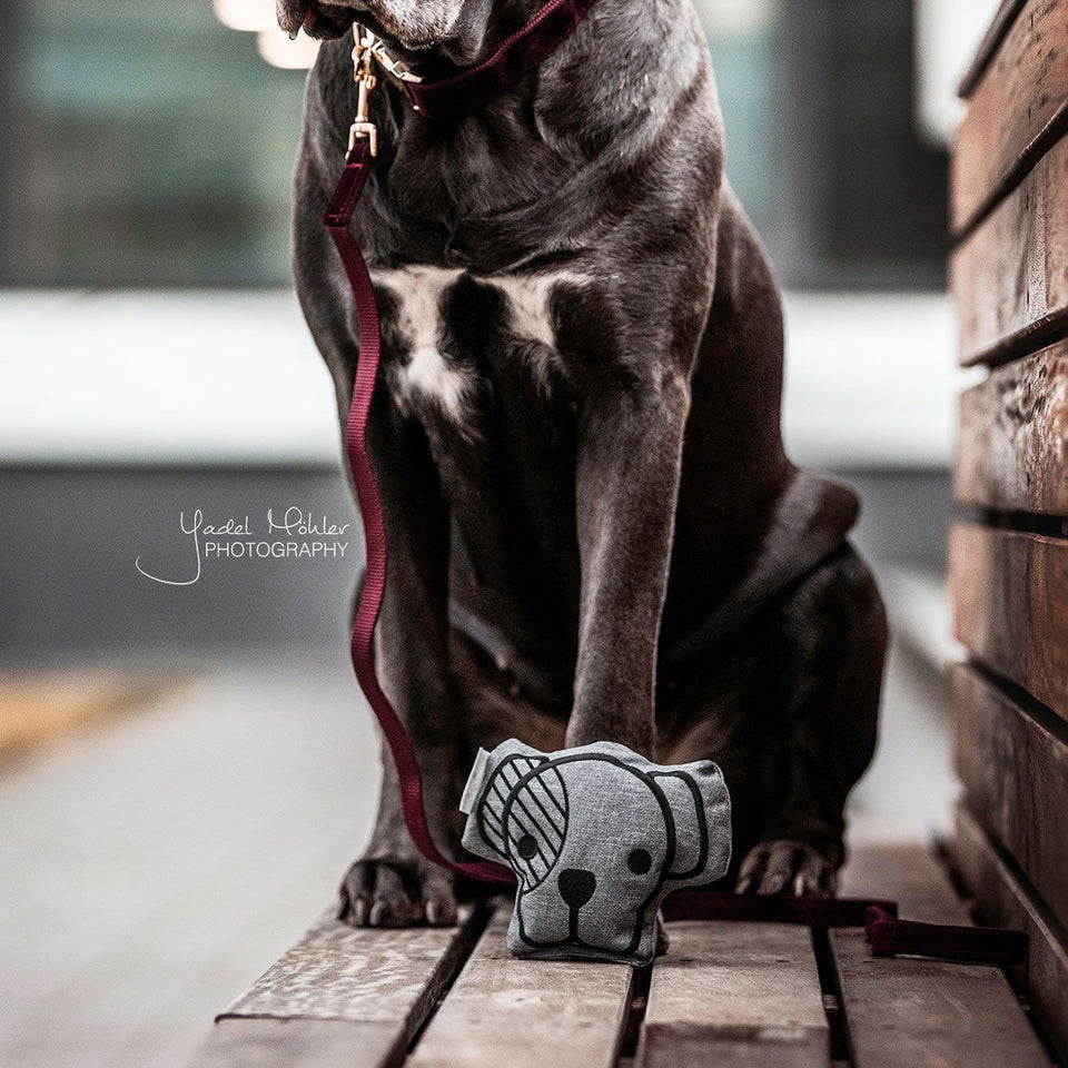 Kentucky Dogwear Dog Toy Head - Grey