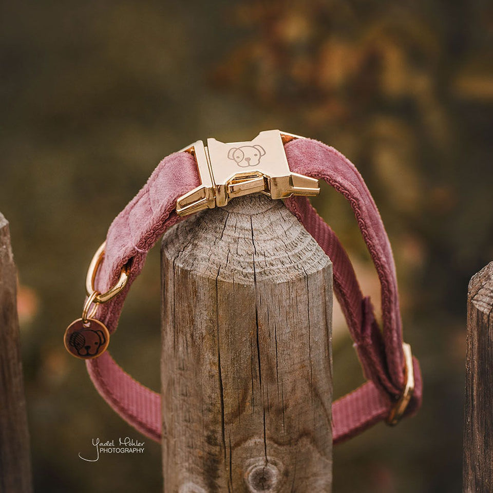 Kentucky Dogwear Velvet Dog Collar - Old Rose