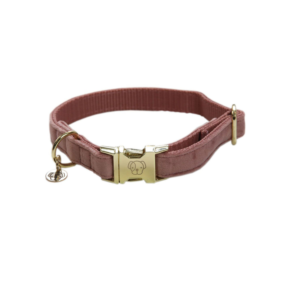 Kentucky Dogwear Velvet Dog Collar - Old Rose