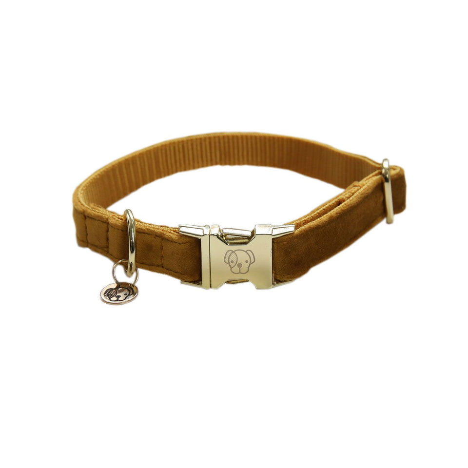 Kentucky Dogwear Velvet Dog Collar - Mustard