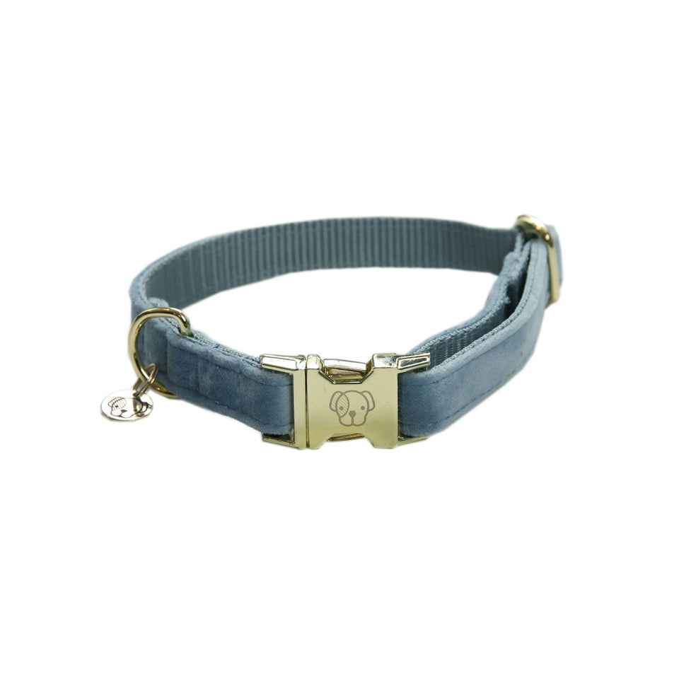 Kentucky Dogwear Velvet Dog Collar - Light Blue