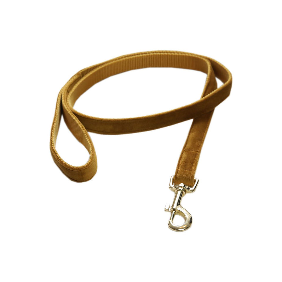 Kentucky Dogwear Velvet Dog Lead - Mustard