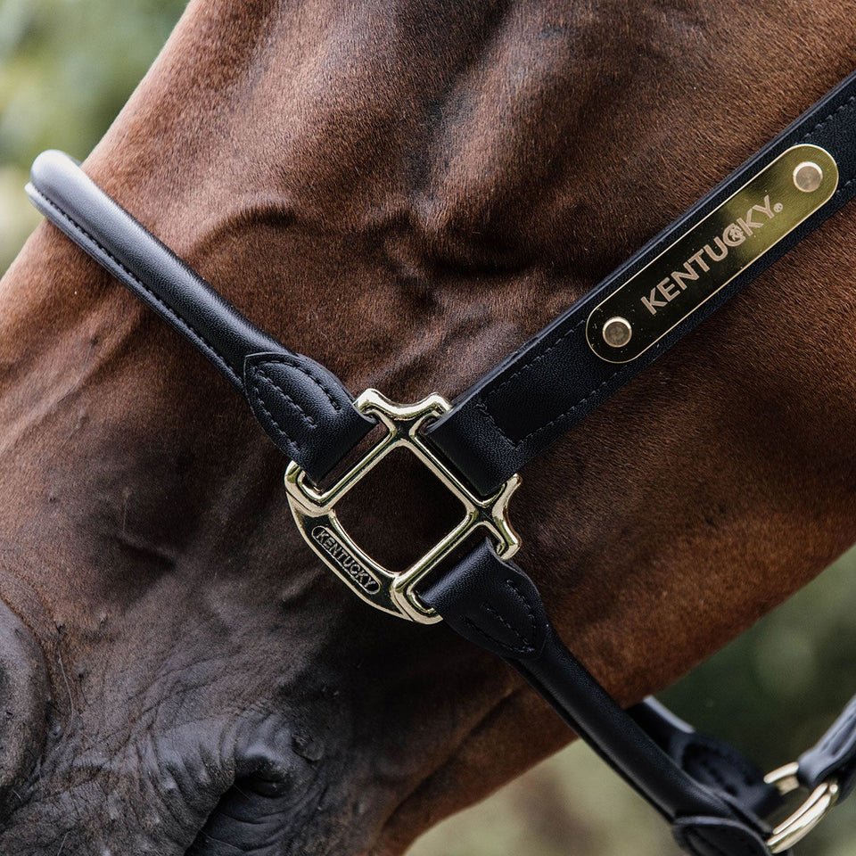 Kentucky Horsewear Anatomic Leather Headcollar - Black
