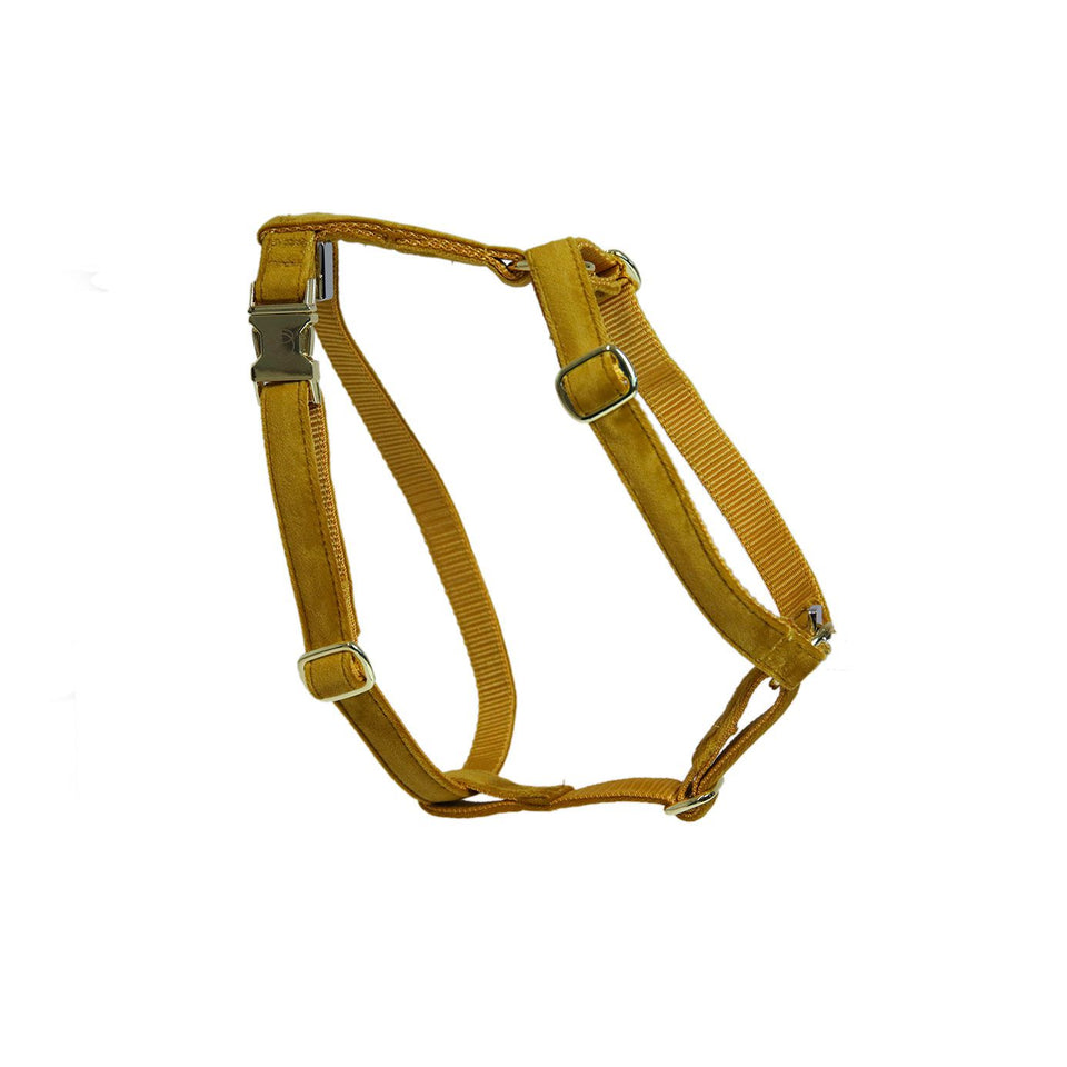 Kentucky Dogwear Velvet Dog Harness Loop - Mustard