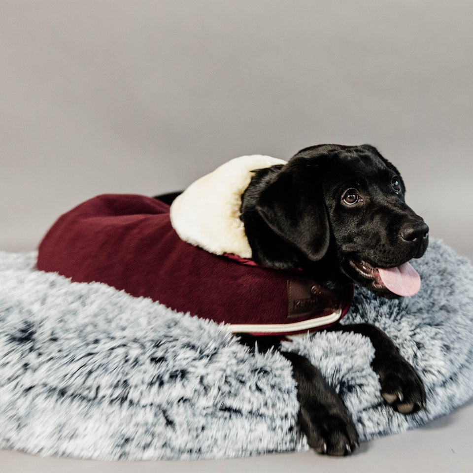 Kentucky Dogwear Heavy Fleece Dog Coat - Bordeaux