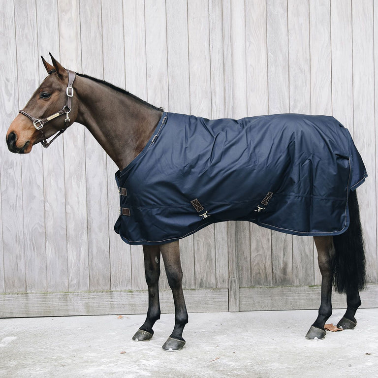 Harrys Horse Royal Competition Plus - Pantalone Da Equitazione Donna Nero