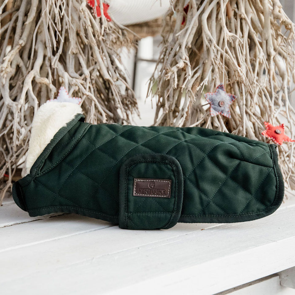 Kentucky Dogwear Dog Coat - Dark Green