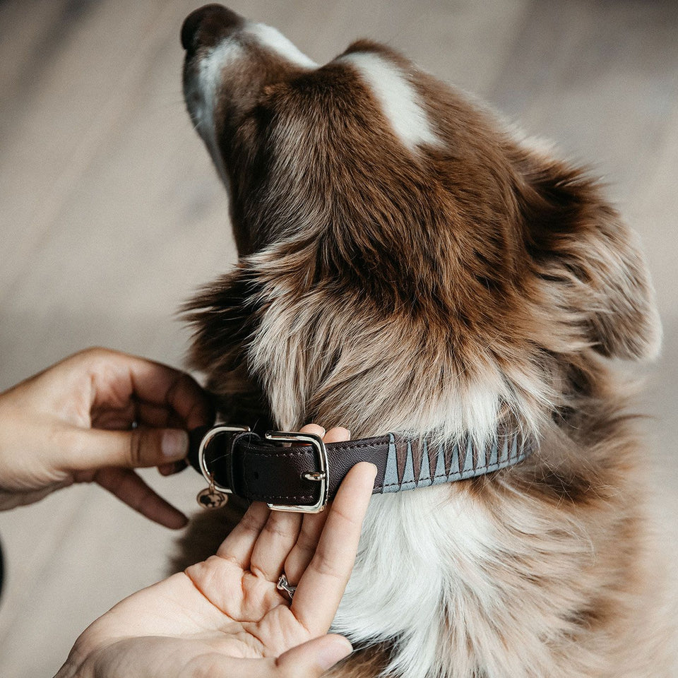 Kentucky Dogwear Triangle Dog Collar - Brown/Grey
