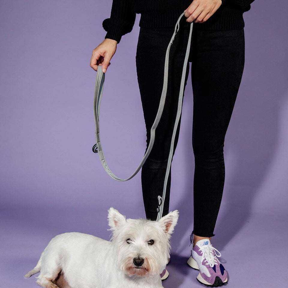 Kentucky Dogwear Reflective Dog Lead - 2m