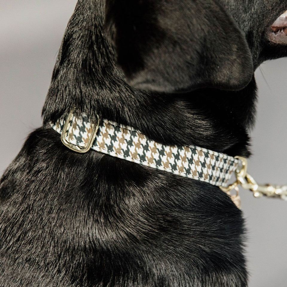 Kentucky Dogwear Pied-de-Poule Dog Collar - Brown