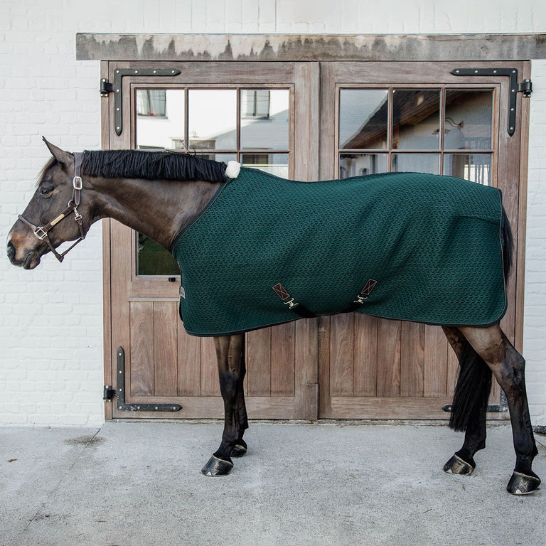 Embroidered Horse Show Rugs | Bespoke Rugs | Horse Rugs & Equiport ...