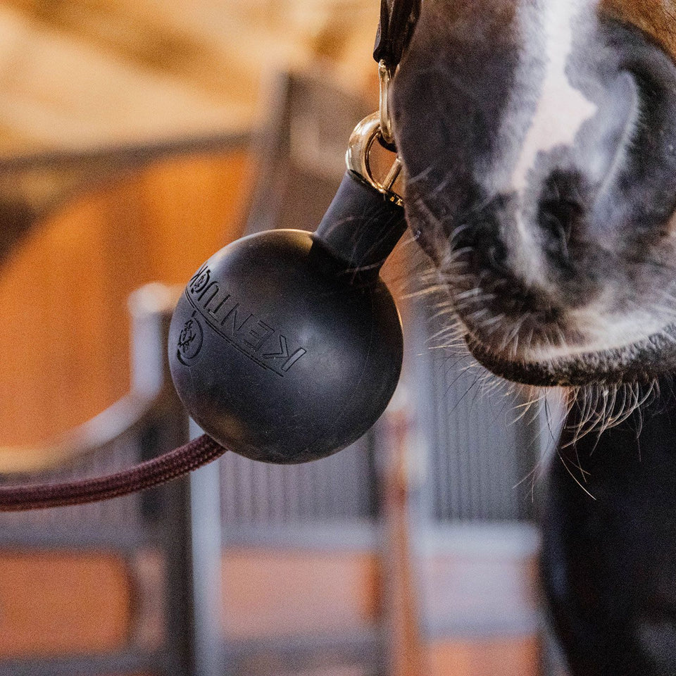 Kentucky Horsewear Rubber Ball Lead and Wall Protector - Black