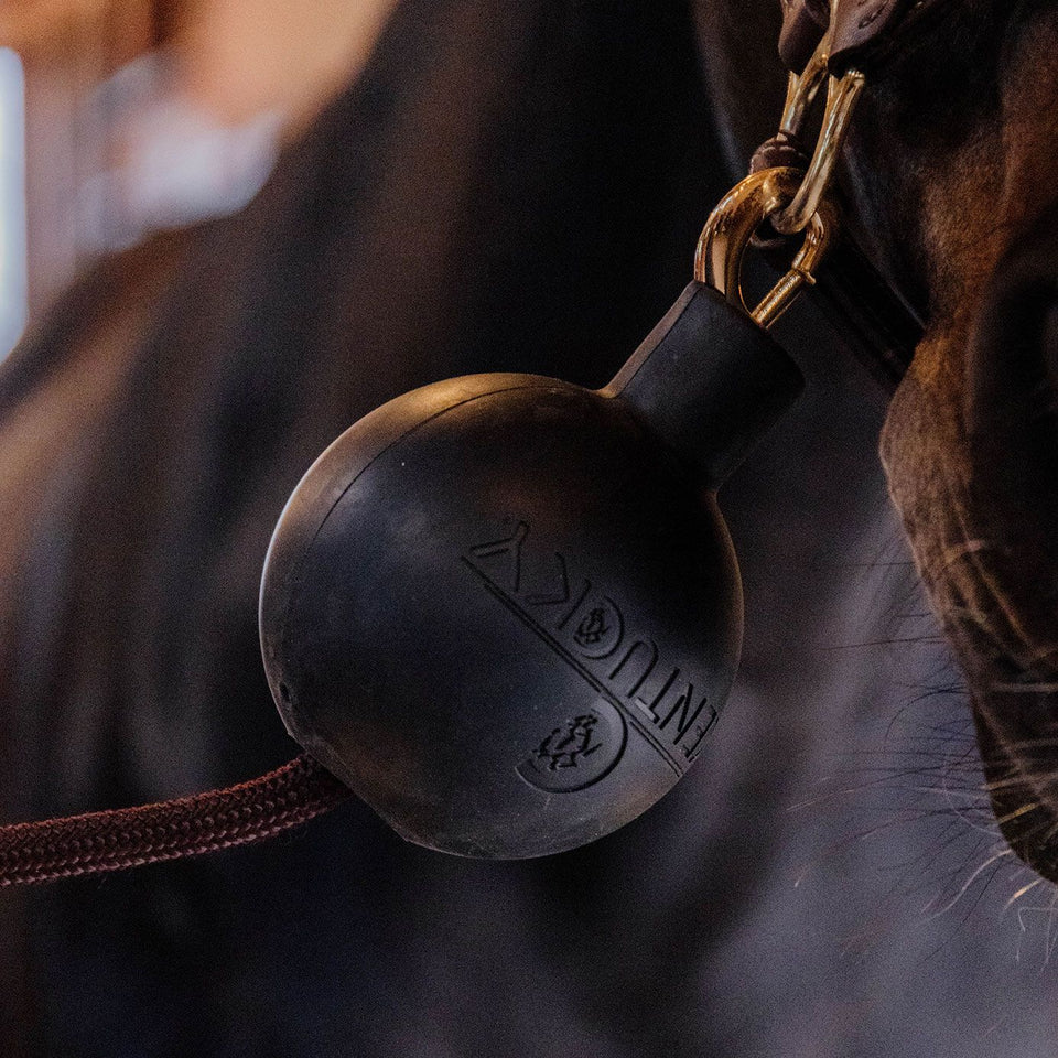 Kentucky Horsewear Rubber Ball Lead and Wall Protector - Black