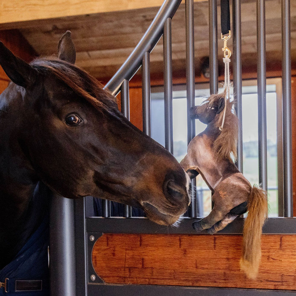 Kentucky Horsewear Relax Stable Toy - Tableux