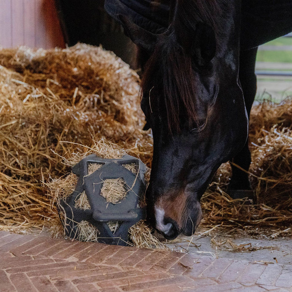 Kentucky Horsewear Relax Horse Hay & Play Ball - Grey