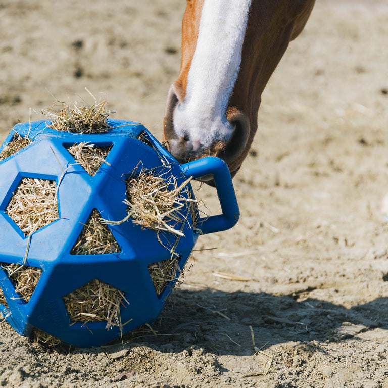Kentucky Horsewear Relax Horse Hay & Play Ball - Royal Blue