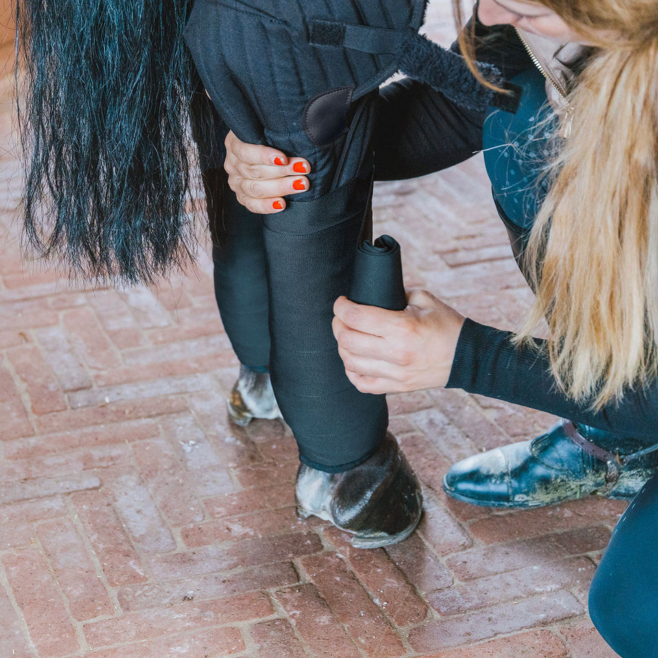 Kentucky Horsewear Transport and Stable Bandage Pads with Hock Protection