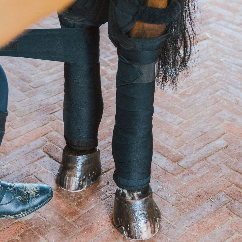 Kentucky Horsewear Transport and Stable Bandage Pads with Hock Protection