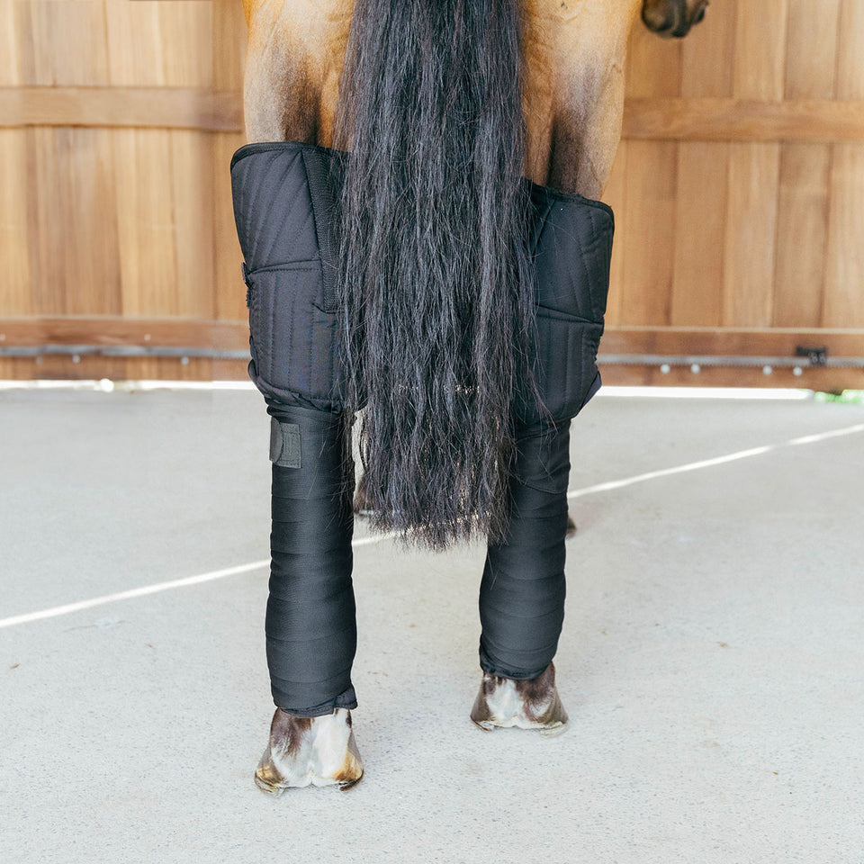 Kentucky Horsewear Transport and Stable Bandage Pads with Hock Protection