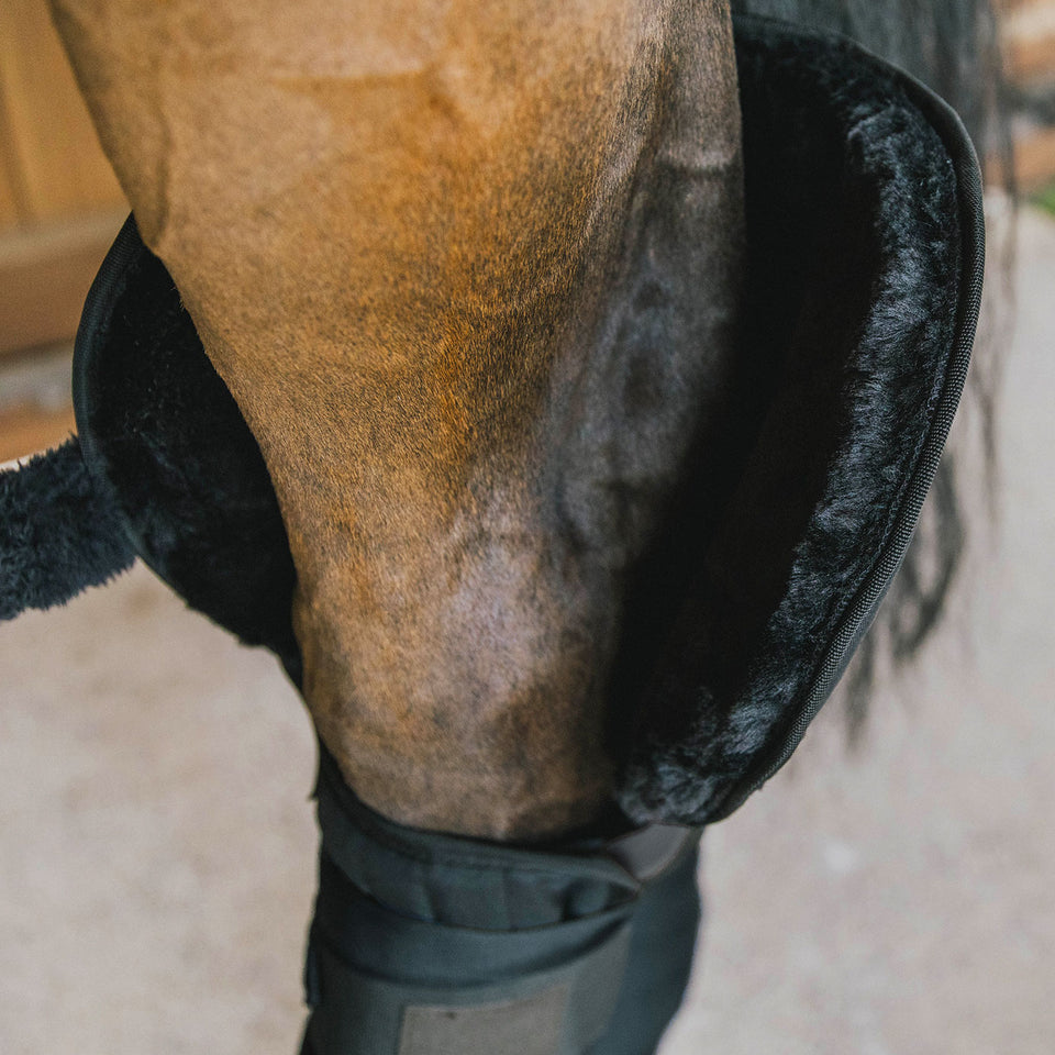 Kentucky Horsewear Transport and Stable Bandage Pads with Hock Protection
