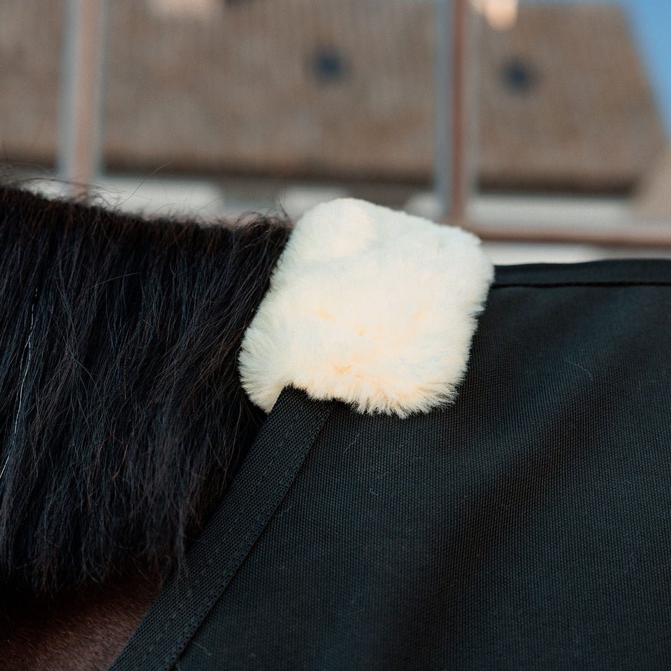 Kentucky Horsewear Canvas Sheet - Black