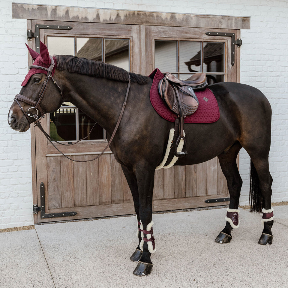 Kentucky Horsewear Classic Jumping Saddle Cloth - Bordeaux