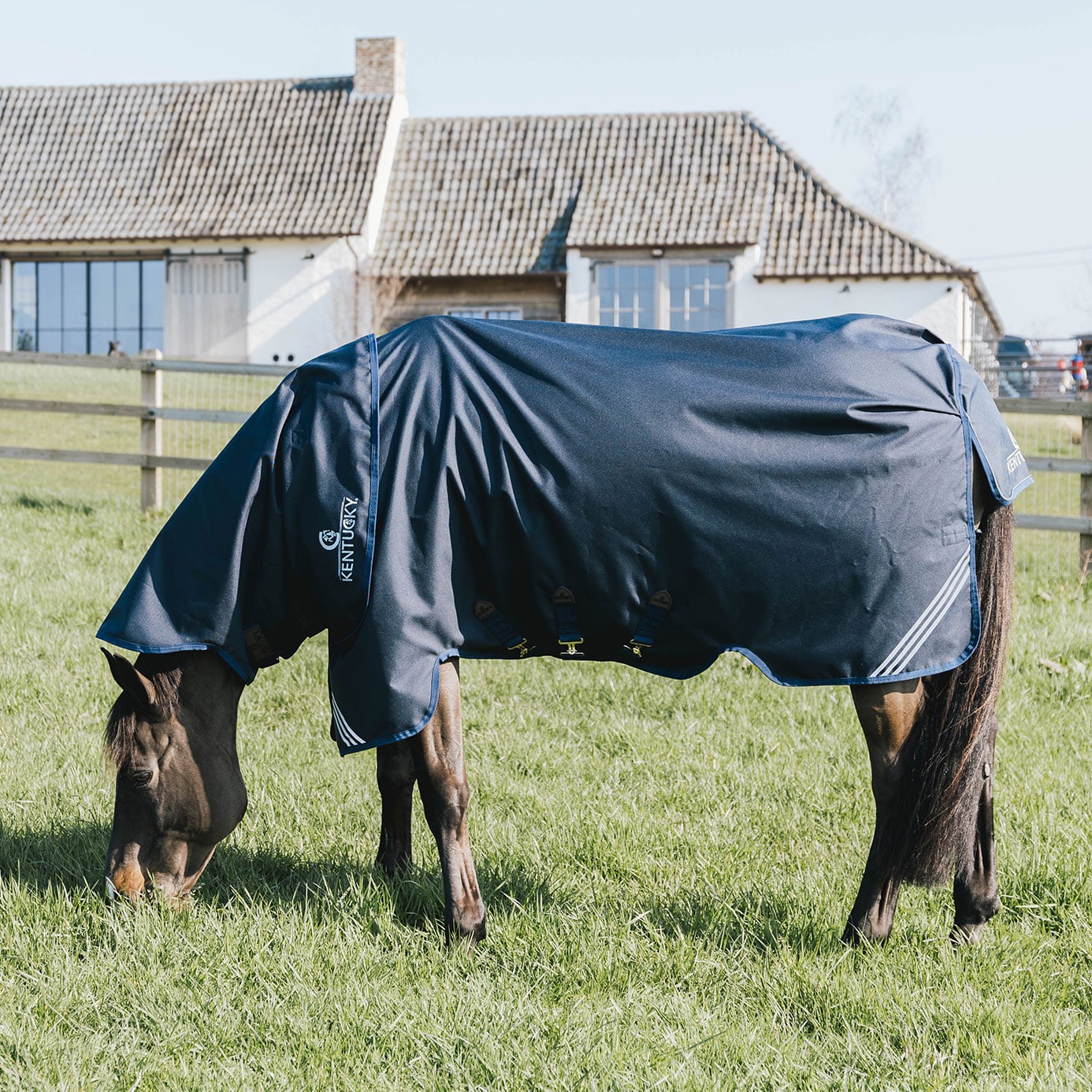 600D Outdoor Winter Turnout Horse Rugs 250G Fill Combo Neck Aqua/Grey 5