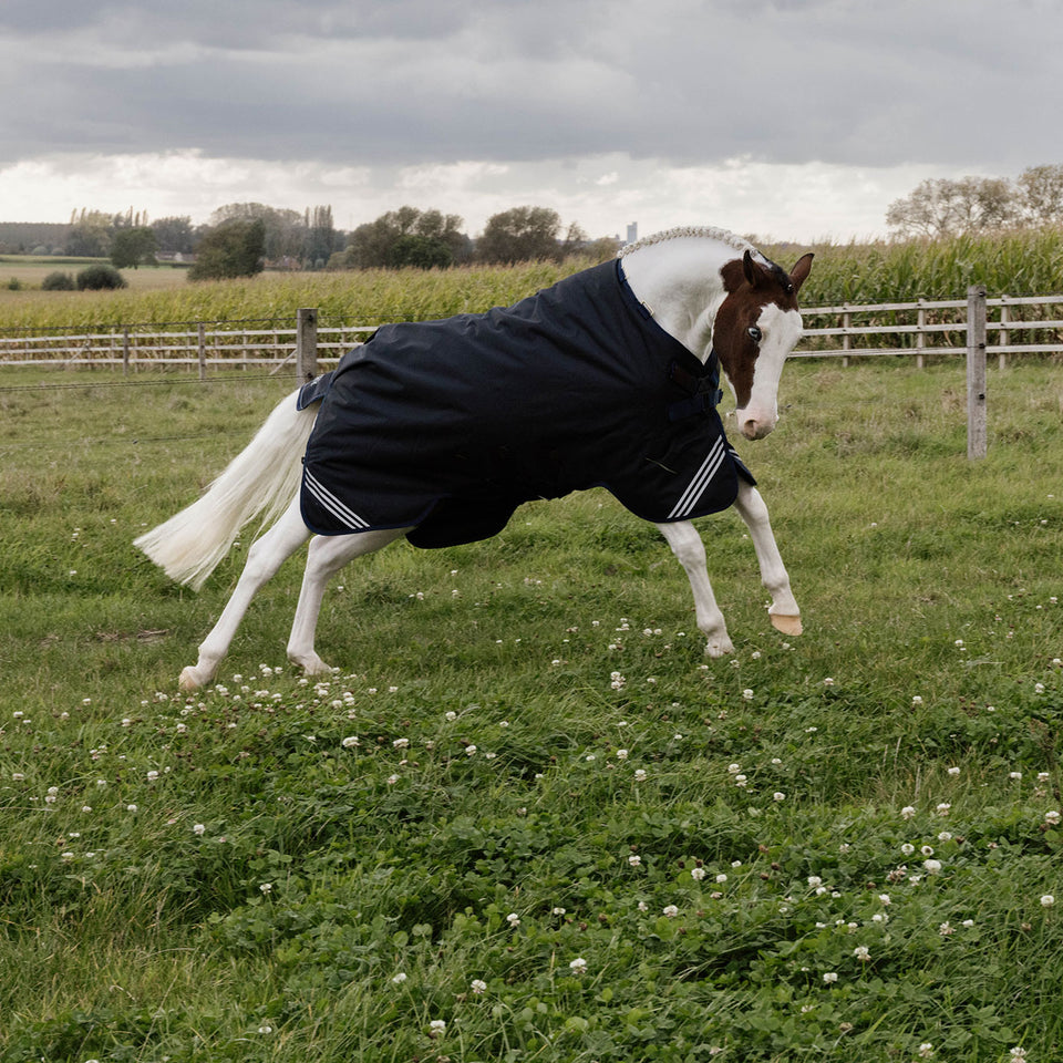 Kentucky Horsewear All Weather Comfort Turnout Rug 100g - Navy