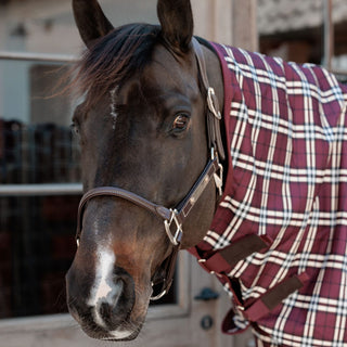 Kentucky Horsewear All Weather Comfort Turnout Neck Cover 100g - Bordeaux
