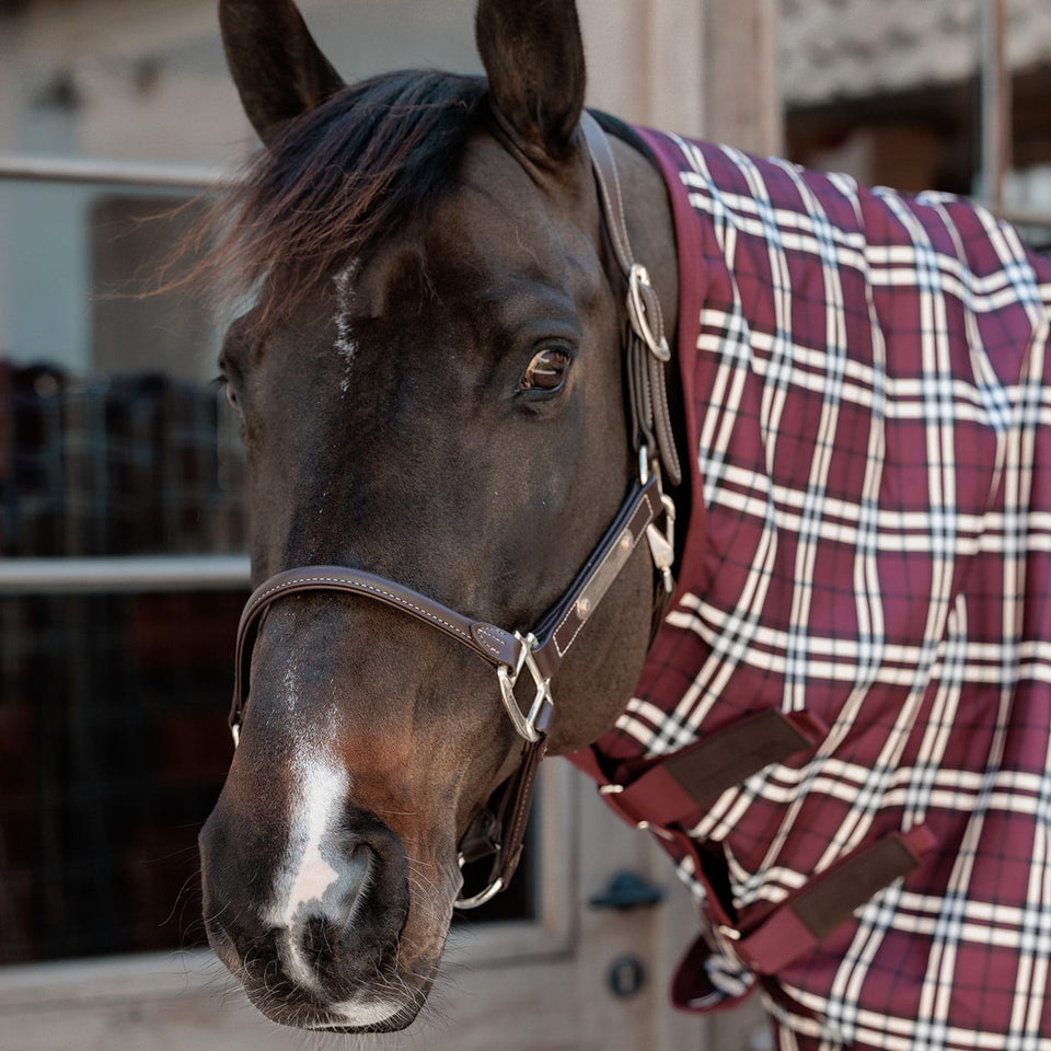 Kentucky Horsewear All Weather Comfort Turnout Neck Cover 100g - Bordeaux