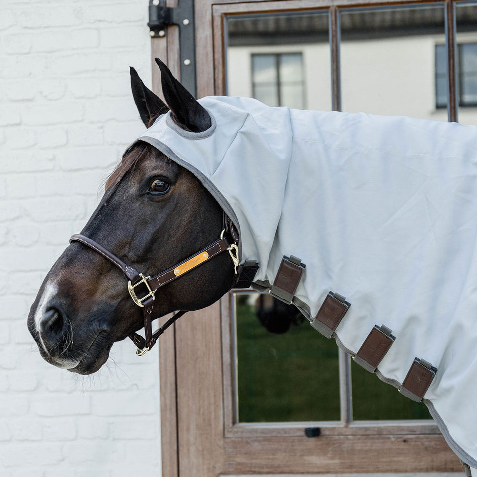 Kentucky Horsewear Eczema Fly Rug with Hood - Grey