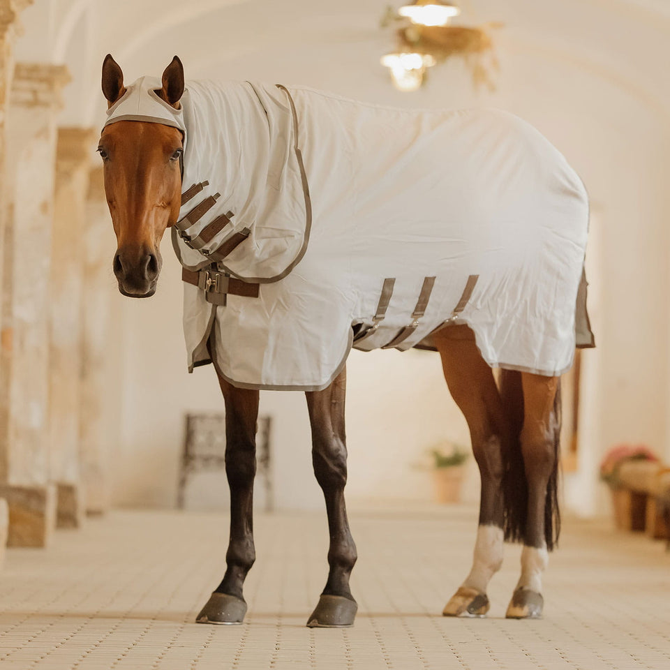 Kentucky Horsewear Eczema Fly Rug with Hood - Grey