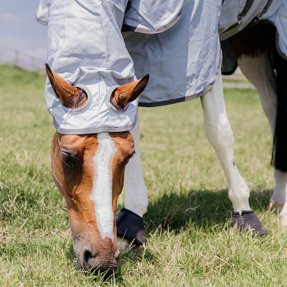 Kentucky Horsewear Eczema Fly Rug with Hood - Grey