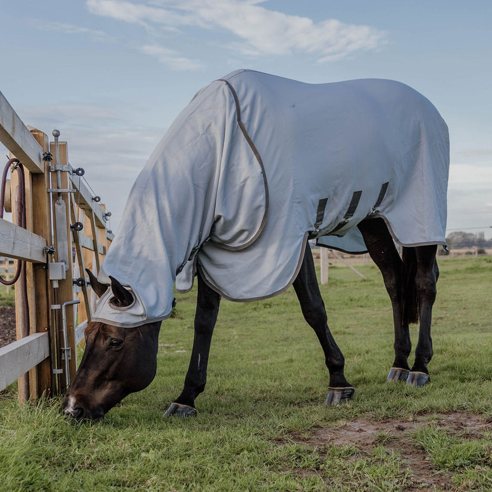Kentucky Horsewear Eczema Fly Rug with Hood - Grey