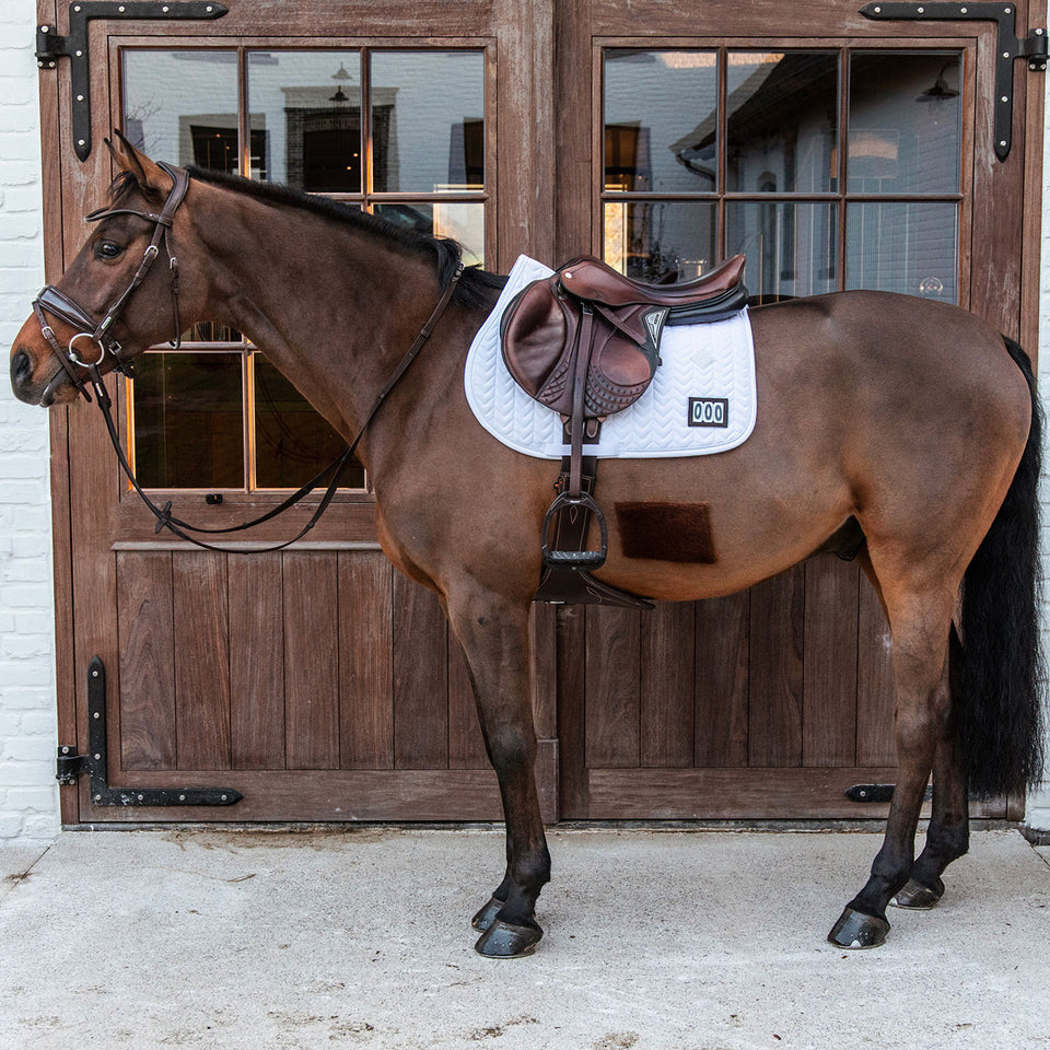 Kentucky Horsewear Fishbone Competition Numbers Jumping Saddle Cloth - White