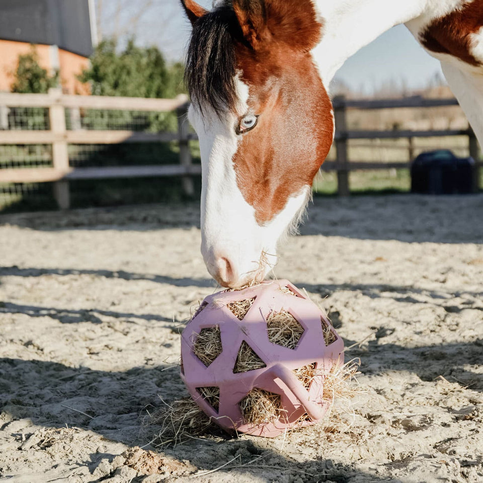 Kentucky Horsewear Relax Horse Hay & Play Ball - Old Rose