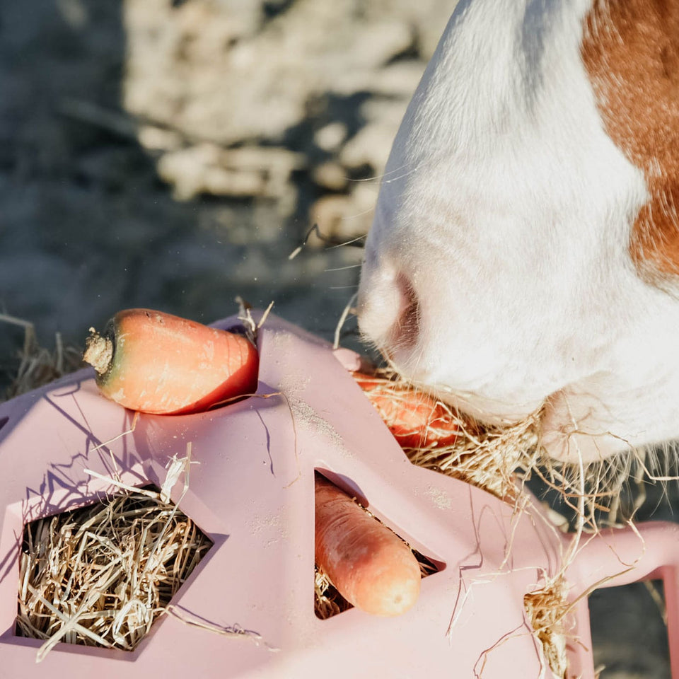 Kentucky Horsewear Relax Horse Hay & Play Ball - Old Rose